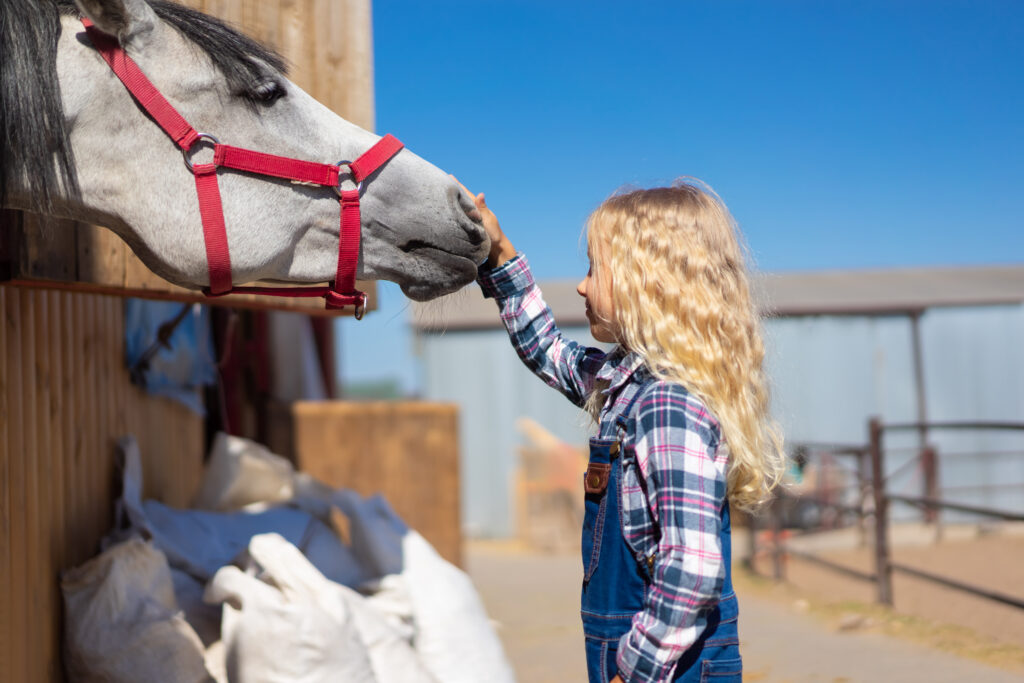 Category Image: Pets Livestock & Equestrian