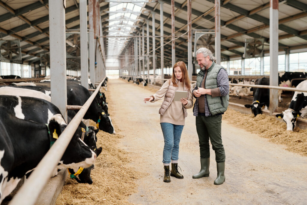 Category Image: British Farm Products